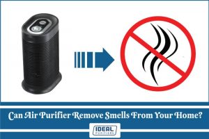 can an air purifier remove smells