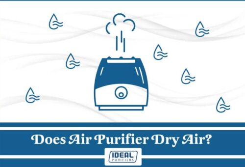 Does air purifier dry air