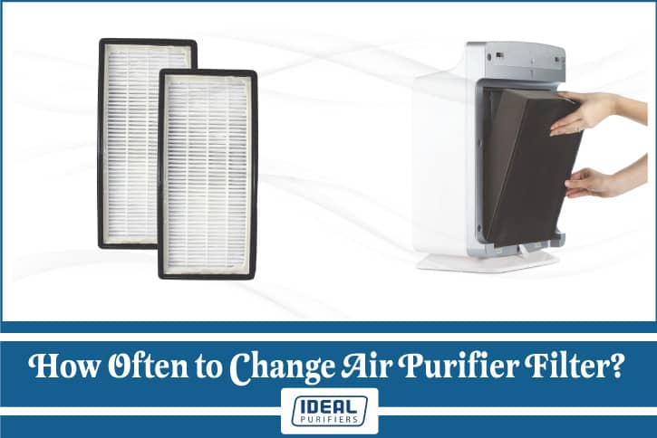 How Often to Change Air Purifier Filter
