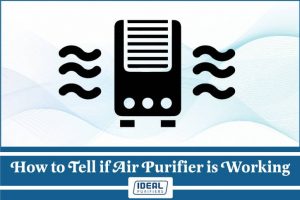 How to Tell if Air Purifier is Working