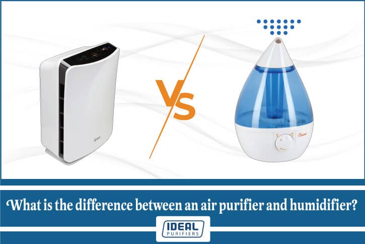 What is the difference between an air purifier and humidifier?