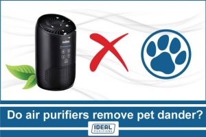 Do air purifiers remove pet dander