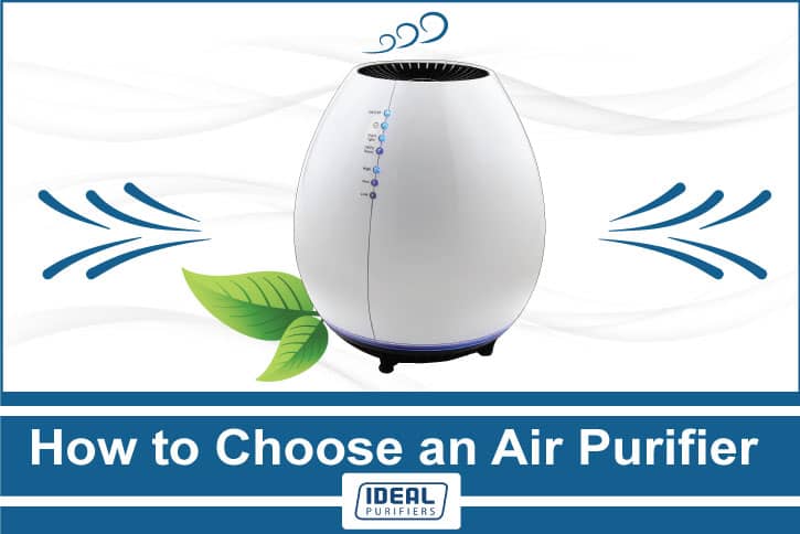 How to Choose an Air Purifier