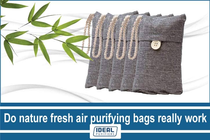 Do nature fresh air purifying bags really work