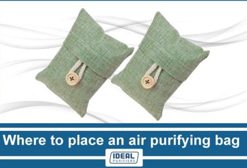 Where to place an air purifying bag