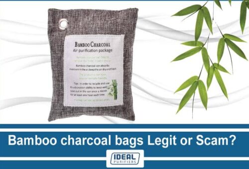 Bamboo charcoal bags Legit or Scam?