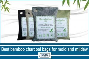 Best bamboo charcoal bags for mold