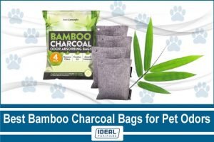 Best Bamboo Charcoal Bags for Pet Odors