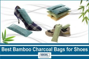 Best Bamboo Charcoal Bags for Shoes