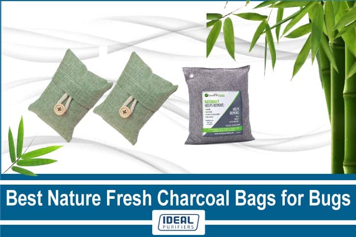 Best Nature Fresh Charcoal Bags for Bugs