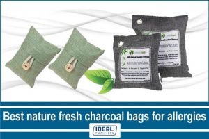 Best nature fresh charcoal bags for allergies