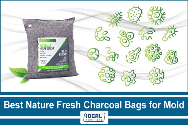 Nature Fresh Charcoal Bags for Mold