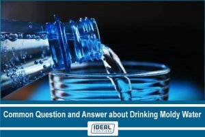 Common Question and Answer about Drinking Moldy Water