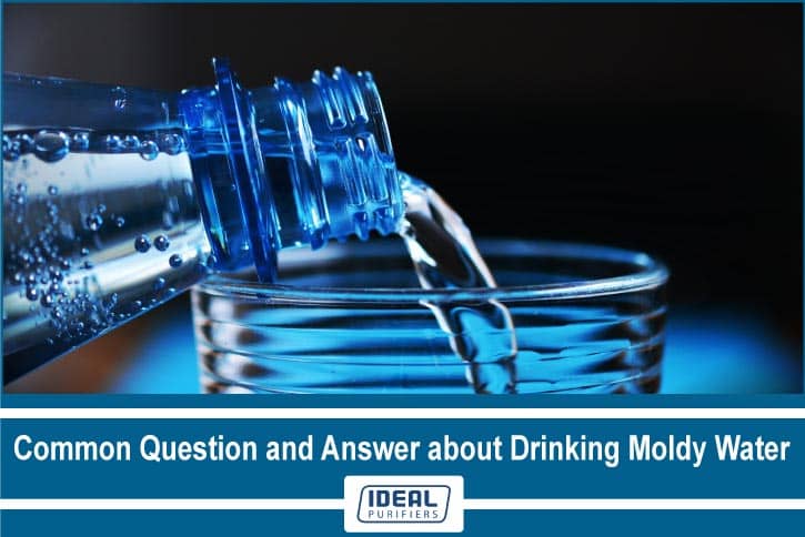 Common Question and Answer about Drinking Moldy Water