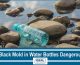 Is Black Mold in Water Bottles Dangerous? (Facts You Should Know)