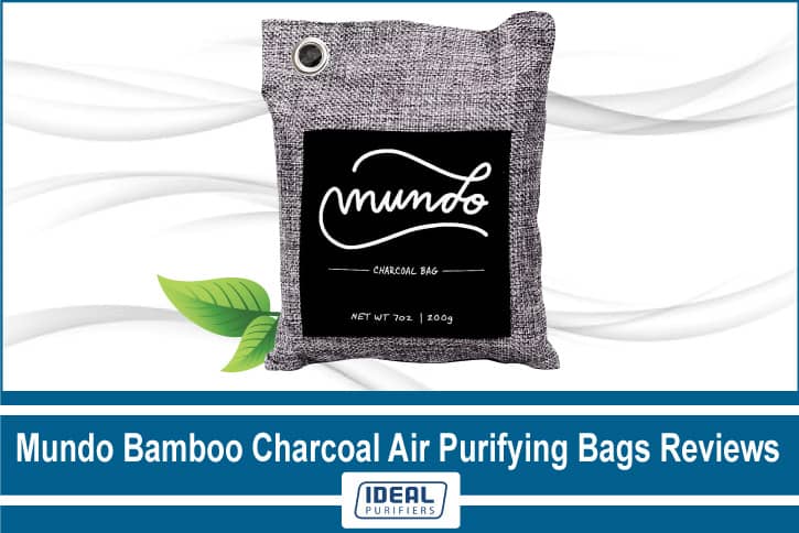 Mundo-Bamboo-Charcoal-Air-Purifying-Bags-Reviews