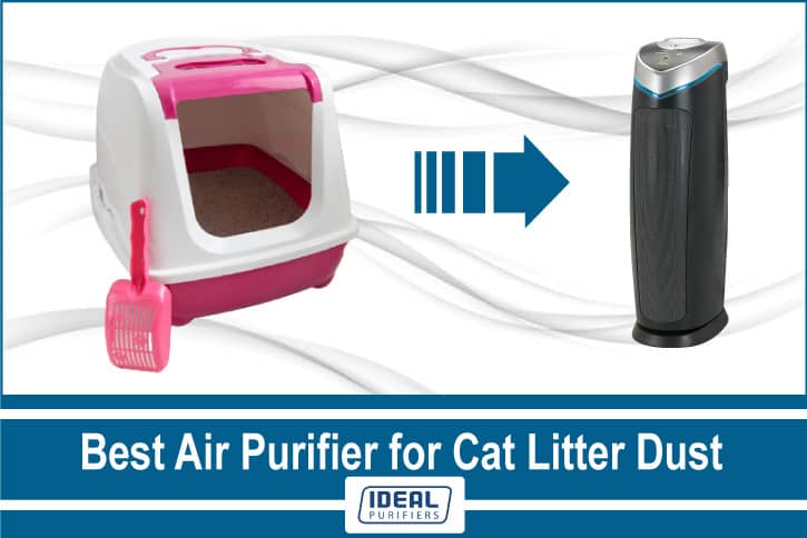 best air purifiers for cat litter