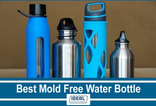 Best Mold Free Water Bottle