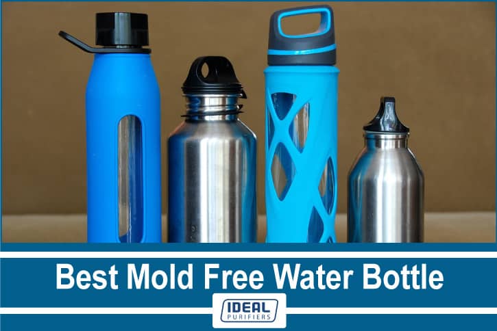 Best Mold Free Water Bottle