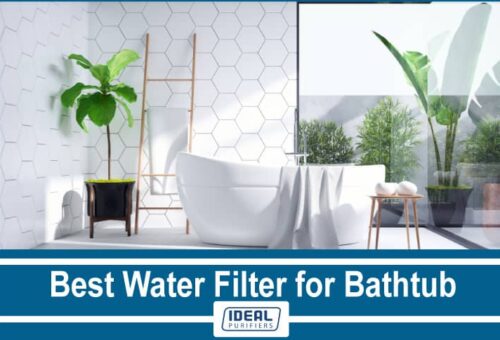 Best Water Filter for Bathtub
