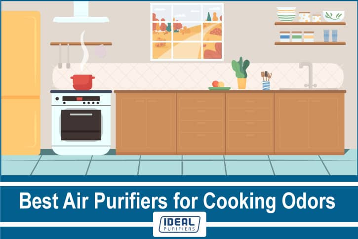 Best Air Purifiers for Cooking Odors