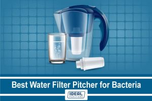 Best Water Filter Pitcher for Bacteria
