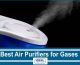Best Air Purifiers for Gases in 2022