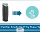 Air Purifier Smells Bad? Try These Tips!